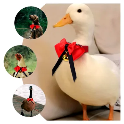 Produktbild von Dekohalsband für Haustiere mit verstellbarer Fliege aus strapazierfähigem Material in Rot für Alltag und Festtage