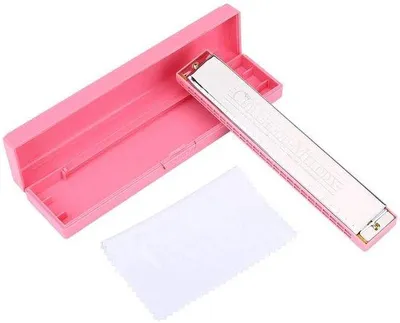 Productafbeelding van Professionele mondharmonica, 24 gaten - Roestvrij staal - Milieuvriendelijk - Inclusief draagdoos
