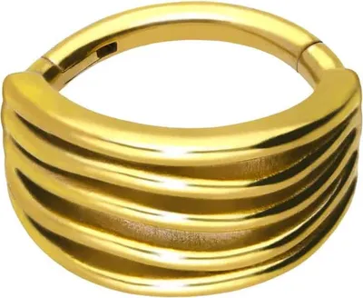 Produktbild von Ohrpiercing, Nasenpiercing, Septum Piercing Chirurgenstahl Segmentring Clicker DESIGN Gold Innendurchmesser: 8 mm