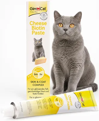 Image de 1 x Gimpet pâte de fromage pour chats 50 g, Image générée par une IA