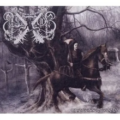 Produktbild von Elffor-Unblessed Woods