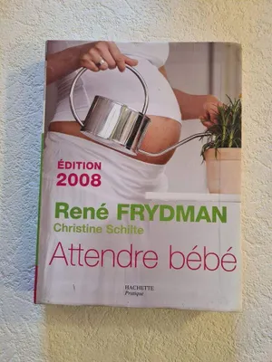 Image de Attendre bébé 2008