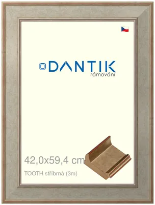 Obrázek produktu pro DANTIK rámeček 42x59,4 | TOOTH stříbrná (Plexi Čiré)
