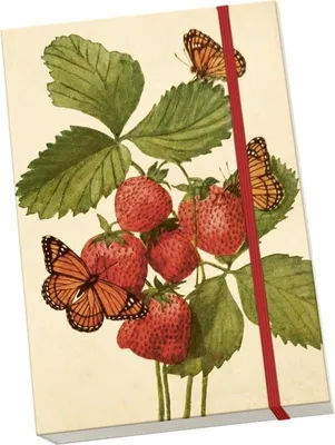 Immagine prodotto di Taccuino decorativo A5 STNOTE 136 Fragole e farfalle