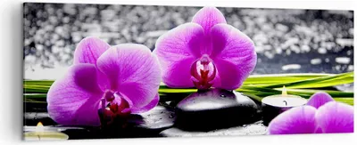 Produktbild von Bild auf Leinwand - Leinwandbild - Orchidee Natur Wasser Blume - 140x50cm - Wand Bild - Wanddeko - Leinwanddruck - Bilder - Kunstdruck - Wanddekoration - Leinwand bilder - Wandkunst - AB140x50-2658