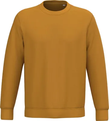 Produktbild von Native Spirit Umweltfreundliches Uni-Sweatshirt mit Rundhalsausschnitt