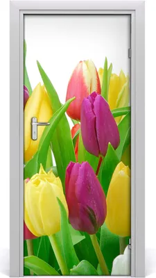 Produktbild von Tulup Türaufkleber 85x205 cm Dekorative Aufkleber Selbstklebend Wasserdichte Tapete Abnehmbar Schlafzimmer Wohnzimmer Wohnkultur - Wandtattoo Blumen Tulpen