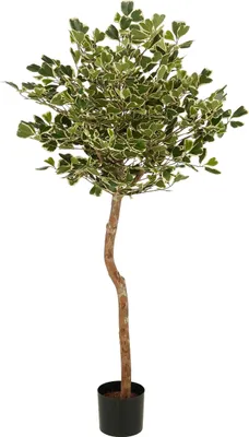 Produktbild von Mica Decorations Ficus Triangularis – Kunstpflanze – Realistische Kunstpflanze Deko Wohnzimmer – Künstliche Pflanzen – Zimmerpflanzen Künstlich – H150 x Ø90 cm – Grün