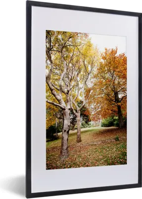 Produktbild von MuchoWow® Gerahmtes Poster Herbst - Bäume - Laub - Natur 40x60 cm - Poster mit Schwarzem Bilderrahmen Wandposter Rahmen Foto Bilder - Poster in Rahmen
