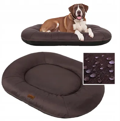 Produktbild von PillowPrim Ponton Hundebett XL mit abnehmbarem Bezug