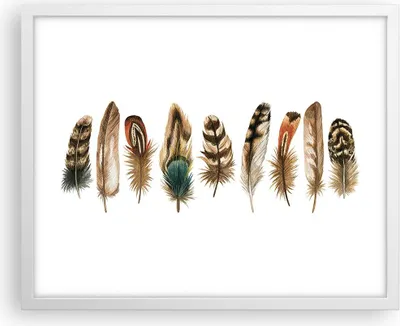 Produktbild von Gerahmtes Poster - Weißer Rahmen - Weiß Hintergrund Federn - 50x40 cm - Wand Bild - Wanddeko - Wandbilder - Kunstposter - Wandposter - Bilderrahmen - Bilder - Kunstdruck - P2WAA50x40-4419