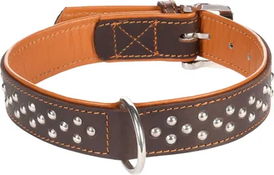 Produktbild von Flamingo Atlanta Halsband braun mit Nieten, Maße: 31-37 cm / 25 mm