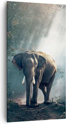 Produktbild von Bild auf Leinwand - Leinwandbild - elefant natur - 55x100cm - Wand Bild - Wanddeko - Wandbilder - Leinwanddruck - Bilder - Kunstdruck - Wanddekoration - Leinwand bilder - Wandkunst - PA55x100-3972