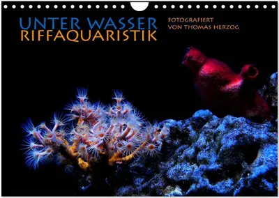 Produktbild von UNTER WASSER Riffaquaristik (Wandkalender 2026 DIN A4 quer), CALVENDO Monatskalender