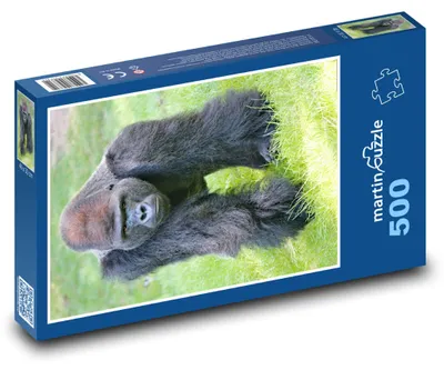 Obrázek produktu pro Puzzle 500 Gorila na zelené louce - martinpuzzle