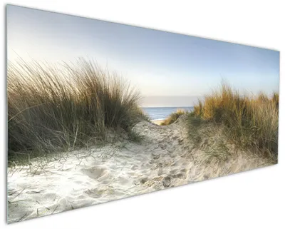 Produktbild von Wallario Küchenrückwand aus Glas, Größe: 125 x 50 cm, Motiv: Weg durch die Dünen zum Strand am Meer | Spritzschutz | abwischbar | pflegeleicht | in