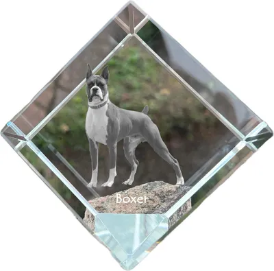 Produktbild von Boxer Kristallwürfel mit Hund Art-Dog