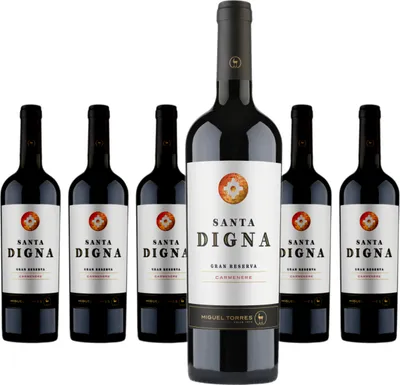 Produktbild von 6 x Miguel Torres Chile Santa Digna Gran Reserva Carmenere
