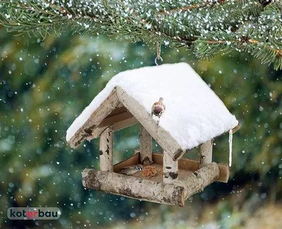 Produktbild von Holz Vogelständer - Sicher Futterstation - 1 Stück - Braun - Birke
