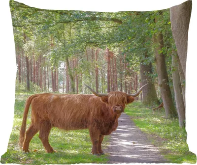 Produktbild von MuchoWow® Zierkissen Sofakissen Wohnzimmer Dekokissen 45x45 cm Wald - Schottisches Hochlandrind - Licht - Schlafpolster - Polster für das Sofa