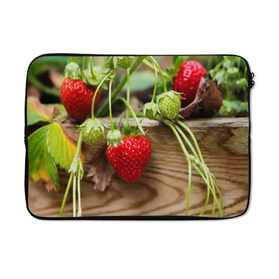 Produktbild von MuchoWow® Laptop Hülle 14 ZollErdbeere - Pflanze - Holz Laptoptasche - Laptoptasche - Stoßsicher - Schutzhaube