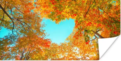 Produktbild von MuchoWow® Poster Bäume - Herbst - Herz - Natur - Orange - Herz 120x60 cm - Bild