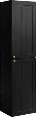 A tall, narrow black cabinet with two doors.
