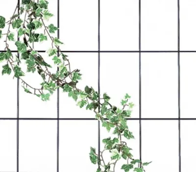 Image de Treillis pour fleurs en métal 150x75cm Treillis pour rosiers Treillis pour plantes