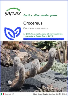 Immagine prodotto di SAFLAX  - Orocereus - 40 semi - Oreocereus