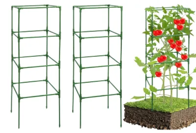 Image de Support stable pour plantes grimpantes dans le jardin