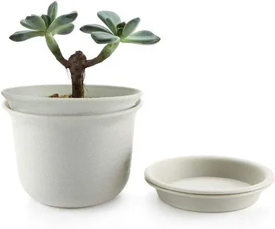 Immagine prodotto di Set di vasi da fiori in plastica con sottovaso, diametro 18,3 cm; piccoli vasi con fori di drenaggio per piante da interno ed esterno, piante grasse e cactus