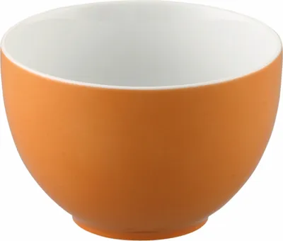 Produktbild von Thomas 10850-408505-15456, Porzellan, 0,45 l