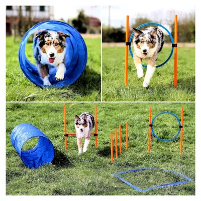 Produktbild von Agility Hundetrainingsset mit Tunnel, Sprungring, Hürden und Slalomstangen