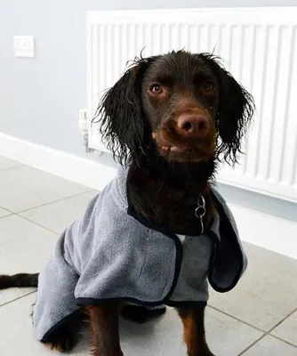Obrázek produktu pro Groom Drying Coat - ručník pro psa L happypet