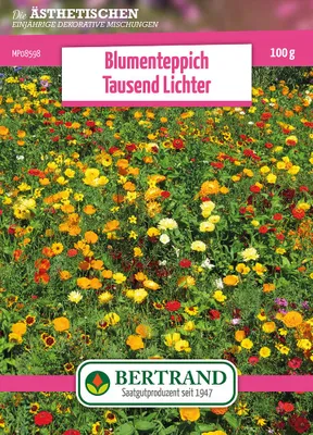 Artikelbild 1 von 'Blumenwiese Blumenteppich Tausendlichter (100 g)'