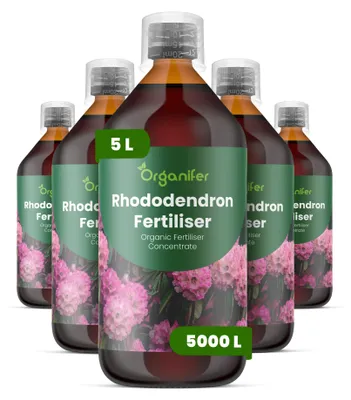 Produktbild von Rhododendren Flüssigdünger 5x1L – 2-1-8 NPK – Flüssig-Pflanzendünger für Rhododendren – Organifer