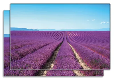 Produktbild von Wallario Frühstücksbrettchen 2er Set aus Glas, je 20 x 30 cm, mit rutschfesten Füßen, Motiv Lavendelfeld unter blauem Himmel