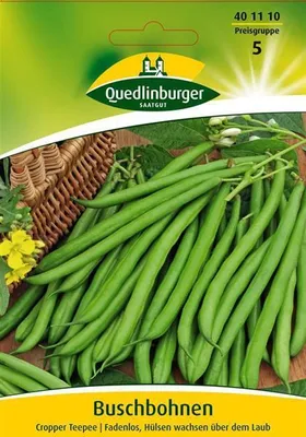 Produktbild von Buschbohne Cropper Teepee | Buschbohnensamen von Quedlinburger