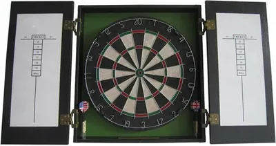 Image de Cible Bristel fléchettes x 6