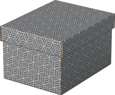 Immagine prodotto di Esselte 628281 3 Esselte Home Aufbewahrungsboxen 6,5 l grau 20,0 x 25,5 x 15,0 cm