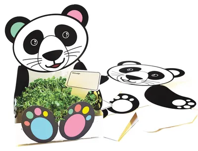 Produktbild von EDUPLAY 370108 Pflanzschale Panda