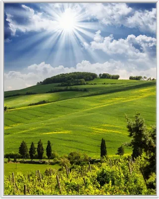 Produktbild von Wallario Wandbild Strahlender Sonnenschein, Größe: 40,30 x 50,30 cm, Poster mit weißem Aluminiumrahmen