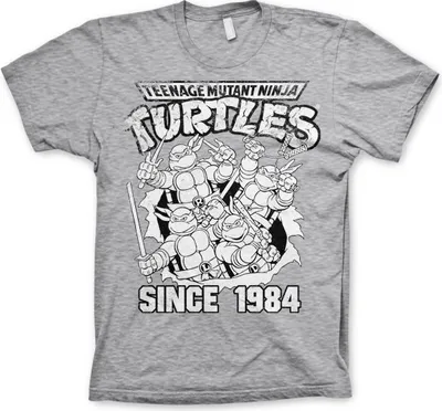 Produktbild von TMNT Distressed Since 1984 T-Shirt - Small - Heather-Grey
