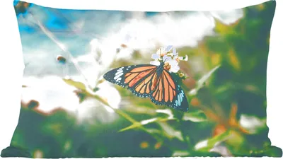 Produktbild von MuchoWow® Zierkissen Sofakissen Wohnzimmer Dekokissen 60x40 cm Schmetterling - Blumen - Garten - Kopfkissen - Polster mit Foto