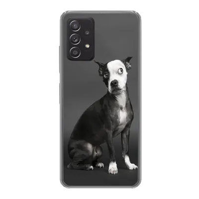 Produktbild von MuchoWow® Handyhülle Schutzhülle Hülle für Samsung Galaxy A33 5G Hund - Spot - Porträt Silikon Softcase Handy Hülle