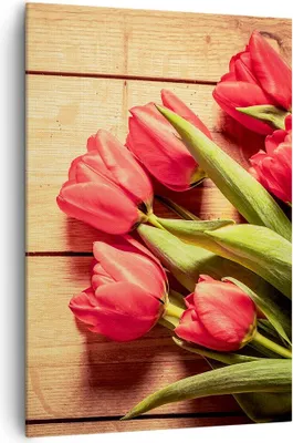 Produktbild von Bild auf Leinwand - Leinwandbild - Einteilig - Tulpen Blumenstrauß Sommer Garten - 70x100cm - Wand Bild - Wandbilder - Leinwanddruck - Wanddekoration - Leinwand bilder - Wandbild - PA70x100-2867