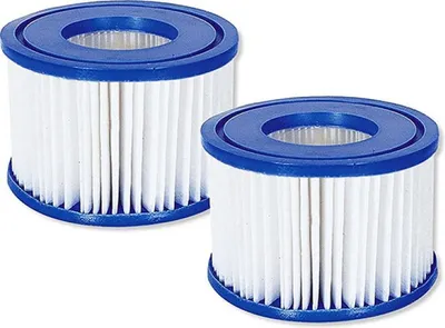 Immagine prodotto di Cartuccia Filtro ricambio per SPA modello VI confezione 2 Pezzi Bestway 60311