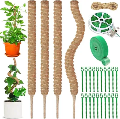 Imagen del producto de Monstera Moosstäbe de 70 cm, paquete de 4 unidades, con fibra de coco, alambre y cuerda de yute para plantas trepadoras