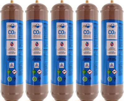 Immagine prodotto di Swan 5 BOMBOLE CO2 USA E GETTA 600 Grammi E290 ALIMENTARE PER GASATORE ACQUA E REFRIGERATORE ATTACCO 11 x 1