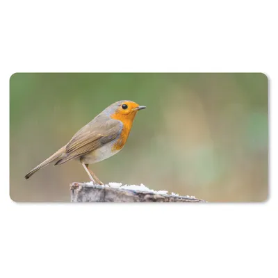 Produktbild von MuchoWow® Schreibtischunterlage Tiere - Vogel - Rotkehlchen 80x40 cm - XXL Mauspad - Gaming Mauspad
